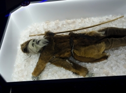 miniaturka