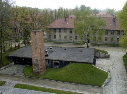 miniaturka